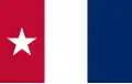 This banner was carried by volunteers comprising Capt. Andrew Robinson's company from Harrisburg and designed by Sarah Rudolph Bradley Dodson in Sep 1835 for her husband, 1st Lt. A. B. Dodson and colleagues[23]
