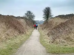 A cutting on the High Peak Trail