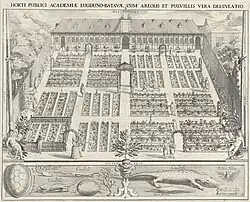 Leiden University Hortus Botanicus, 1610 or 1644.[8]