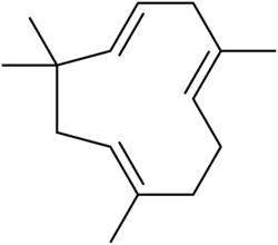 Humulene, found in hops.[5]