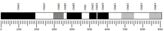 Chromosome 18 (mouse)