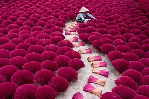 View of a village has its tradition of producing incense in Kim Bảng town.