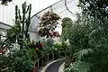 Inside the Palm House