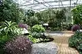 Interior of the greenhouse