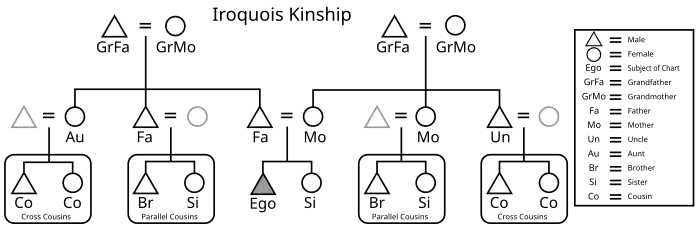 Egocentric genealogical diagram of the Iroquois kinship system.