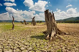 The upper part in drought