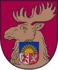Jelgava (small)