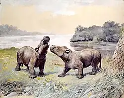 Coryphodon