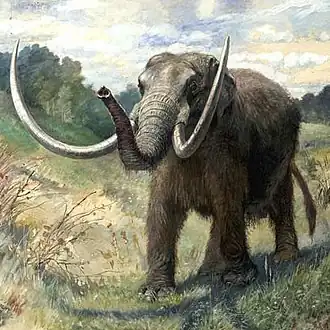 Mastodon