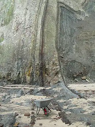 Coastal cliff