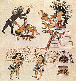 Codex Tudela.