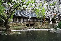 5 - Daejeon
