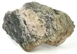 text