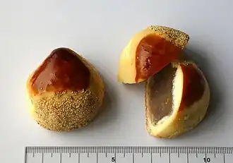 Kuri manjū