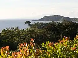 Landscape in La Palma