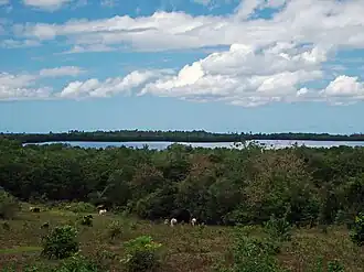 Laguna Joyuda