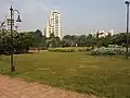 Lawn