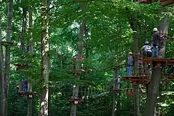 Forest adventure park
