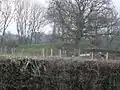 A flat topped grassy mound behind a barbed wire fence and hedgerow
