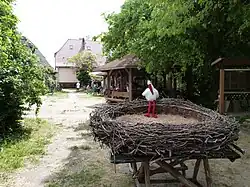 Visitor center with a reconstructed nest