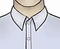 A collar with long pointy edges.