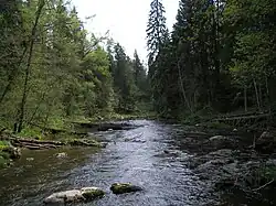 The Loobu River near Porgaste