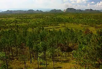 Bladen Reserve looking towards the Maya Mountains