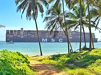 A large container ship, seen through palm trees