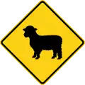 W11-17 Sheep