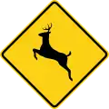 W11-3 Deer