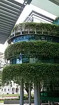 Used as a green wall