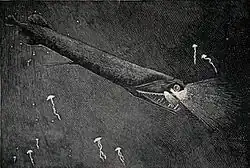 Image 24The stoplight loosejaw is also one of the few fishes that produce red bioluminescence. As most of their prey cannot perceive red light, this allows it to hunt with an essentially invisible beam of light. (from Deep-sea fish)