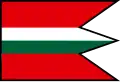 Flag of Malé Raškovce