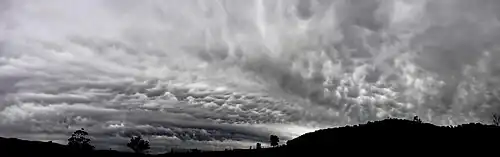 Mammatus cloud (March 2008)