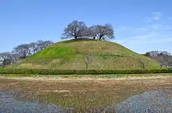Panoramic view
