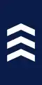 Federal Police (Mexico)