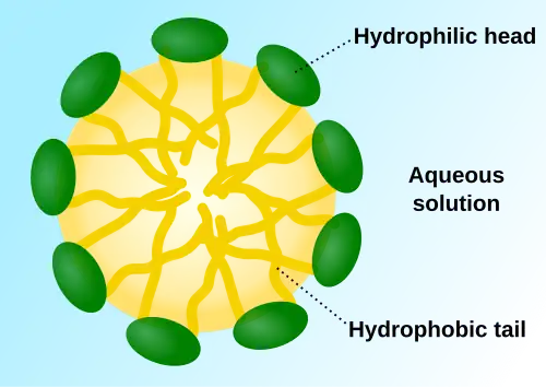 A micelle&nbsp;– the lipophilic ends of the surfactant molecules dissolve in the oil, while the hydrophilic charged ends remain outside in the water phase, shielding the rest of the hydrophobic micelle. In this way, the small oil droplet becomes water-soluble.