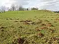 Dingestow Castle mound