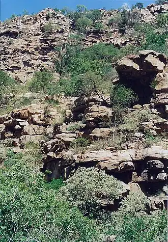 The hills provide one of Botswana's two breeding sites for the endangered Cape vulture