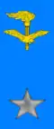 Army Aviation Regiments