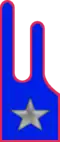 13th Command and Tactical Supports Unit "Pinerolo"