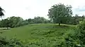 Motte-and-bailey of Blaison, before the castle