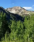 Mount Baldy
