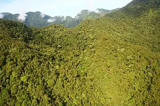 Aerial photo of the top of a densely forested volcano crater
