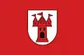 Flag of Gmina Mszczonów