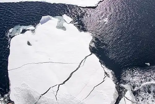 Image 8Sea ice reflects 50% to 70% of incoming sunlight, while the ocean, being darker, reflects only 6%. As an area of sea ice melts and exposes more ocean, more heat is absorbed by the ocean, raising temperatures that melt still more ice. This is a positive feedback process. (from Causes of climate change)