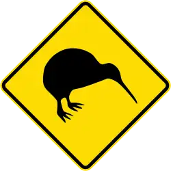 Watch for animals (kiwi)