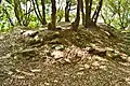 Neso Kofun No.2