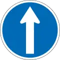 Proceed Straight Ahead (no turns allowed)