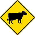 Watch for animals (cattle)